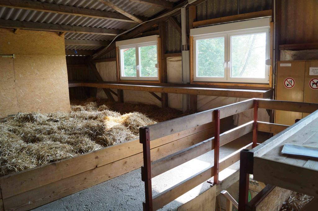 Hemishofen ボルドホーフヴィラ 部屋 写真